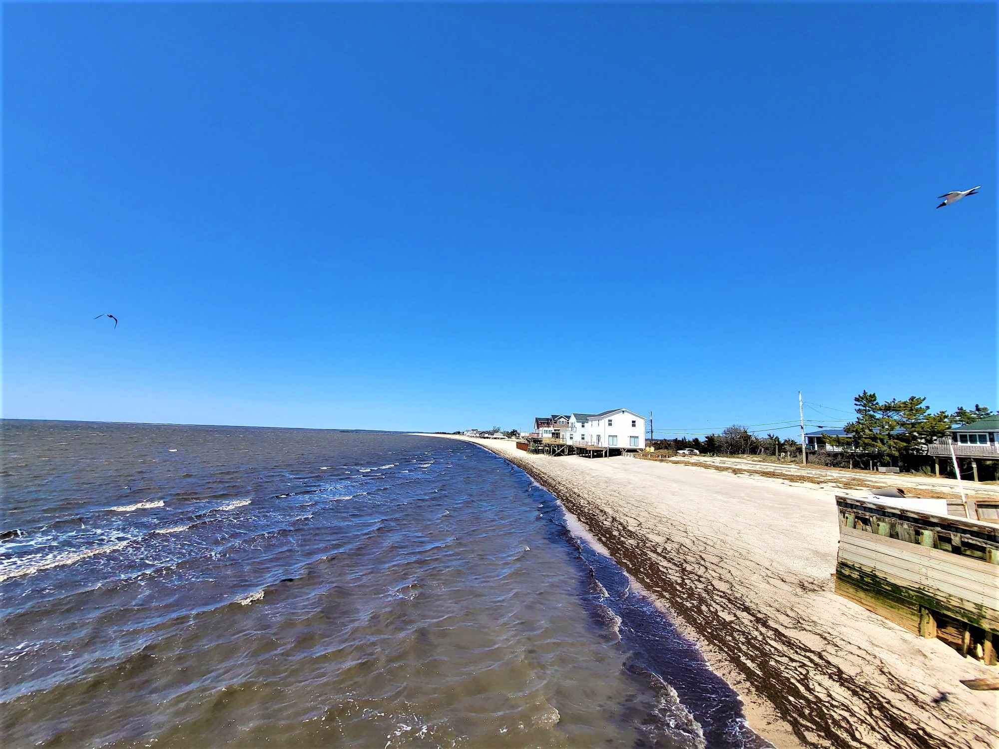 83 N. Beach Avenue, Reeds Beach, NJ Coldwell Banker James C. Otton